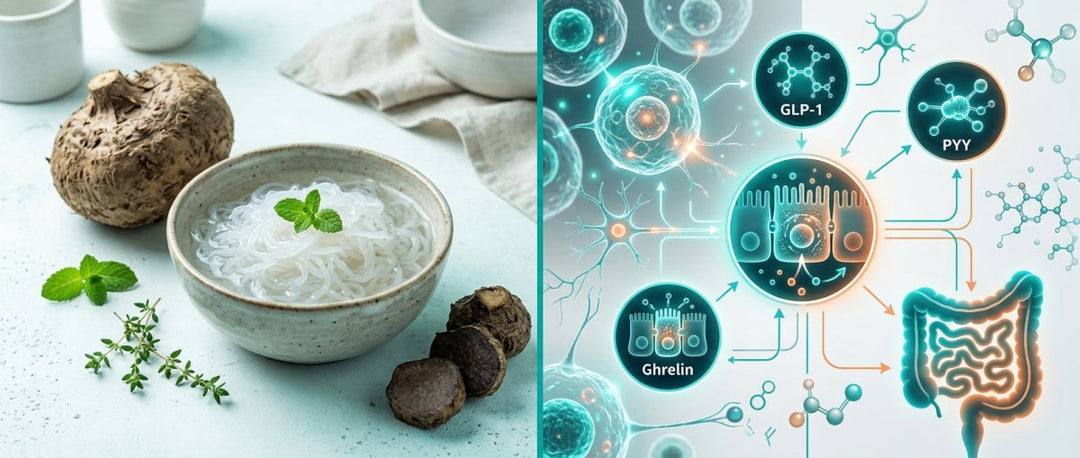 Konjak und proteinreiche Ernährung: Die perfekte Kombination - Mincidelice